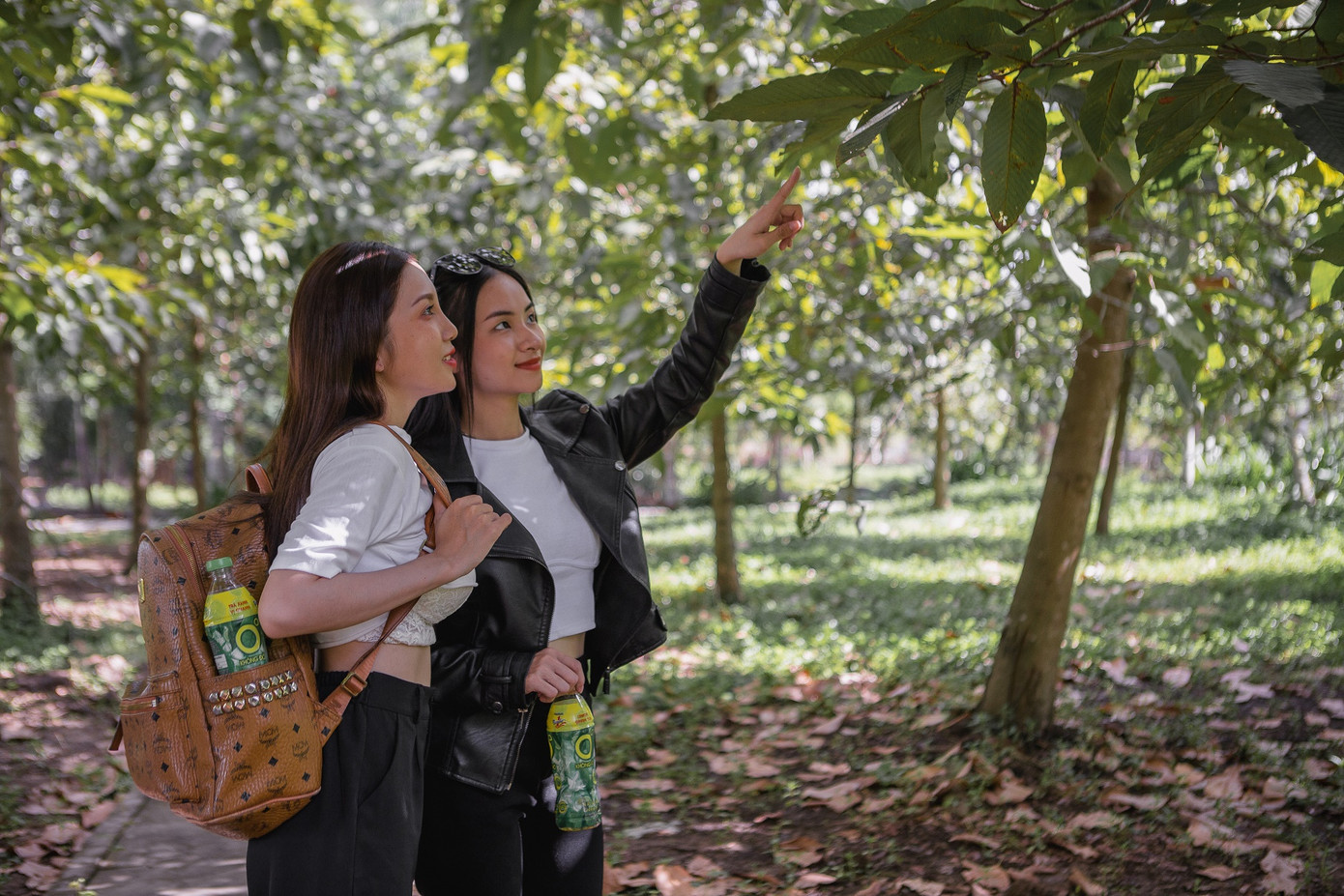 Trong những chuyến đi tránh nóng của người trẻ không thể thiếu item đặc biệt là những chai Trà Xanh Không Độ giúp xua tan căng thẳng mệt mỏi, giải nhiệt cuộc sống. Trong những chuyến đi tránh nóng của người trẻ không thể thiếu item đặc biệt là những chai Trà Xanh Không Độ giúp xua tan căng thẳng mệt mỏi, giải nhiệt cuộc sống.