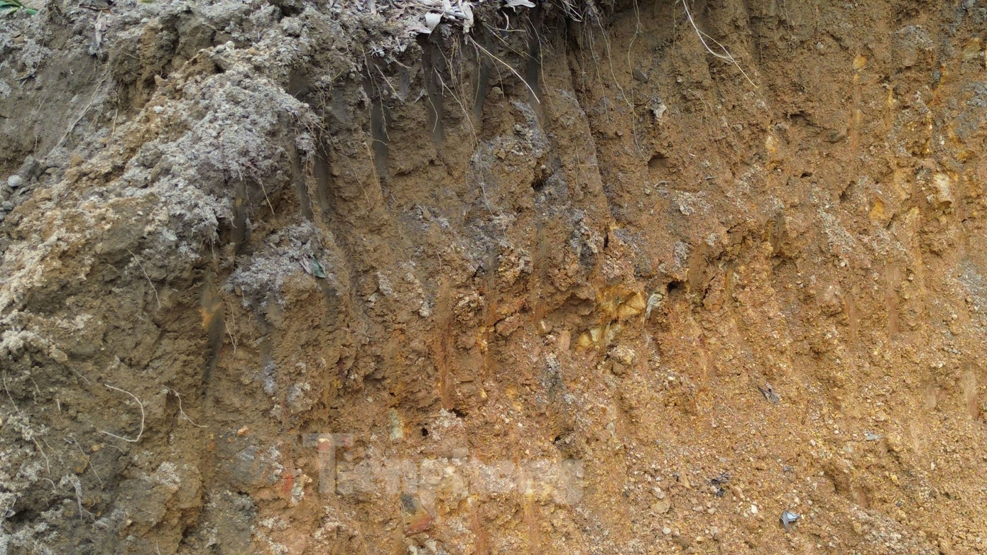 Các đối tượng đã sử dụng máy xúc hủy hoại nhiều diện tích keo của gia đình ông Nghiệp, rồi múc đất chuyển đi nơi khác. Diện tích đất bị khai thác khoảng 246m2 với độ sâu đào trung bình 2m. Ước tính, khối lượng đất bị đào xúc và vận chuyển đi khoảng 529m3; tổng diện tích cây keo bị đào xúc, vận chuyển đi khoảng 379,16m2.