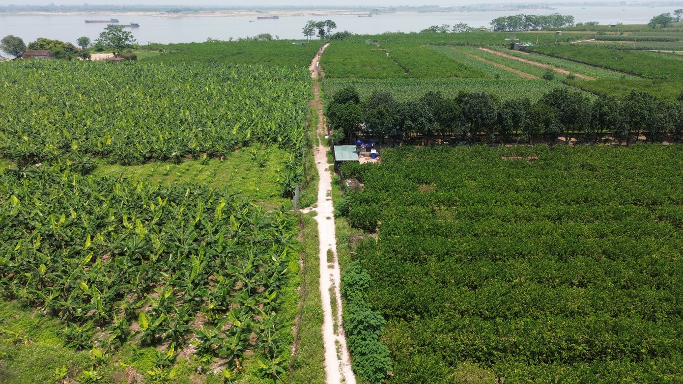 Khu đất nông nghiệp ven sông tại xã Thọ An, huyện Đan Phượng.