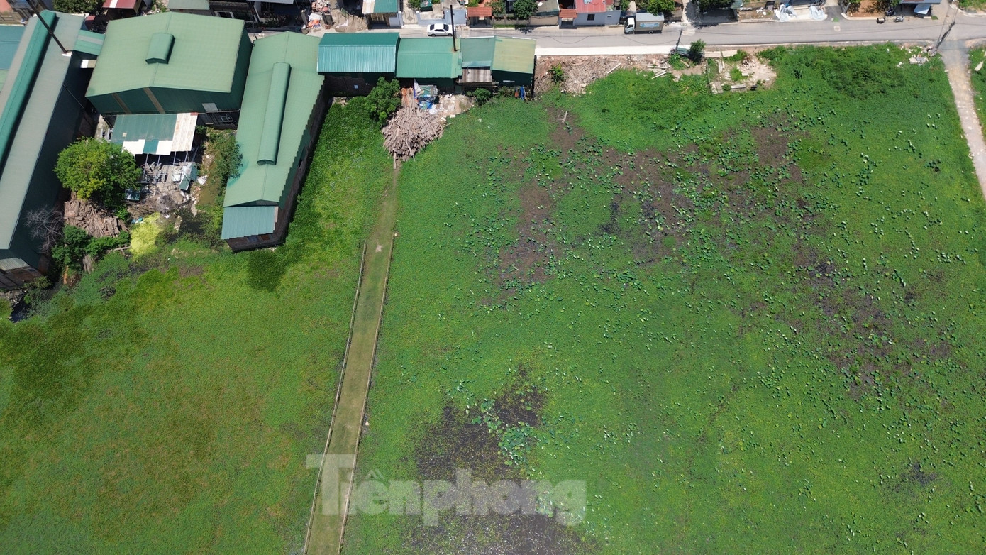 Thực tế, đến nay khu đất dự án vẫn để hoang. Ông Nguyễn Văn Thái (thôn 4, Tân Hòa, xã Cộng Hòa) cho biết, hơn chục ha đất nông nghiệp để thực hiện dự án đang để hoang cỏ mọc rất lãng phí. Thậm chí, có hộ đã đổ trạc thải xây dựng san lấp đất để sử dụng vào mục đích riêng khiến người dân địa phương rất bức xúc.