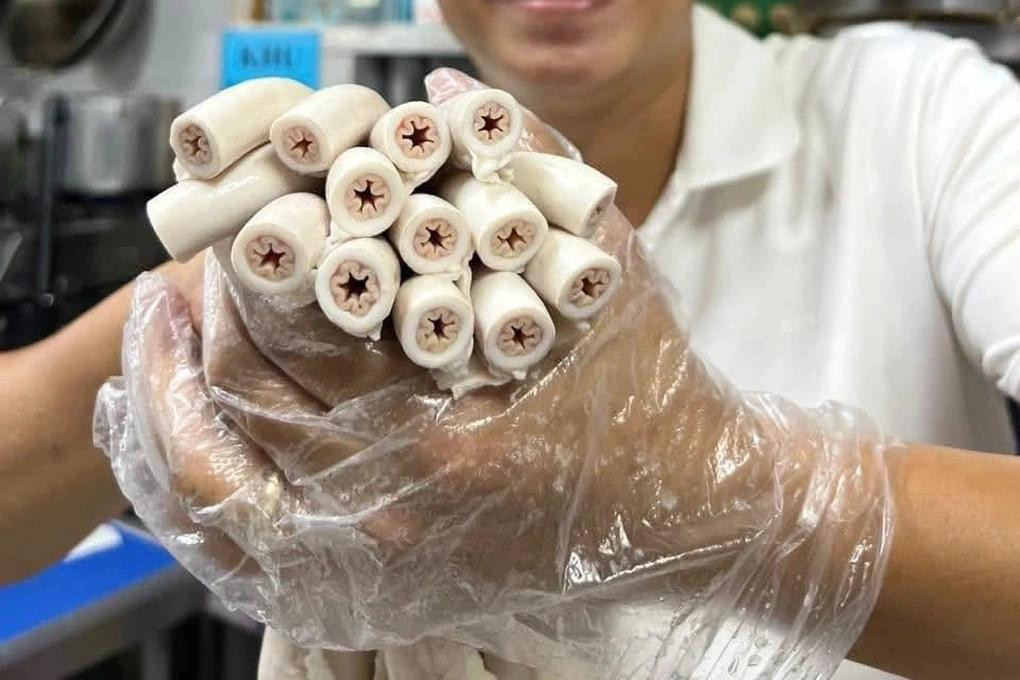 Các chuyên gia khẳng định không thể có cỗ lòng xe điếu dài 40m