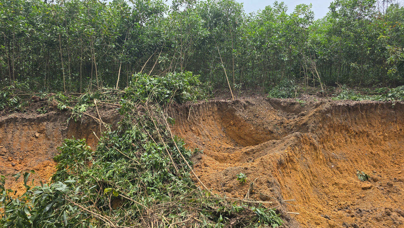 Hiện trường khu đất của gia đình ông Phùng Công Nghiệp bị các đối tượng hủy hoại tài sản, khai thác đất trái phép. Hiện trường khu đất của gia đình ông Phùng Công Nghiệp bị các đối tượng hủy hoại tài sản, khai thác đất trái phép.