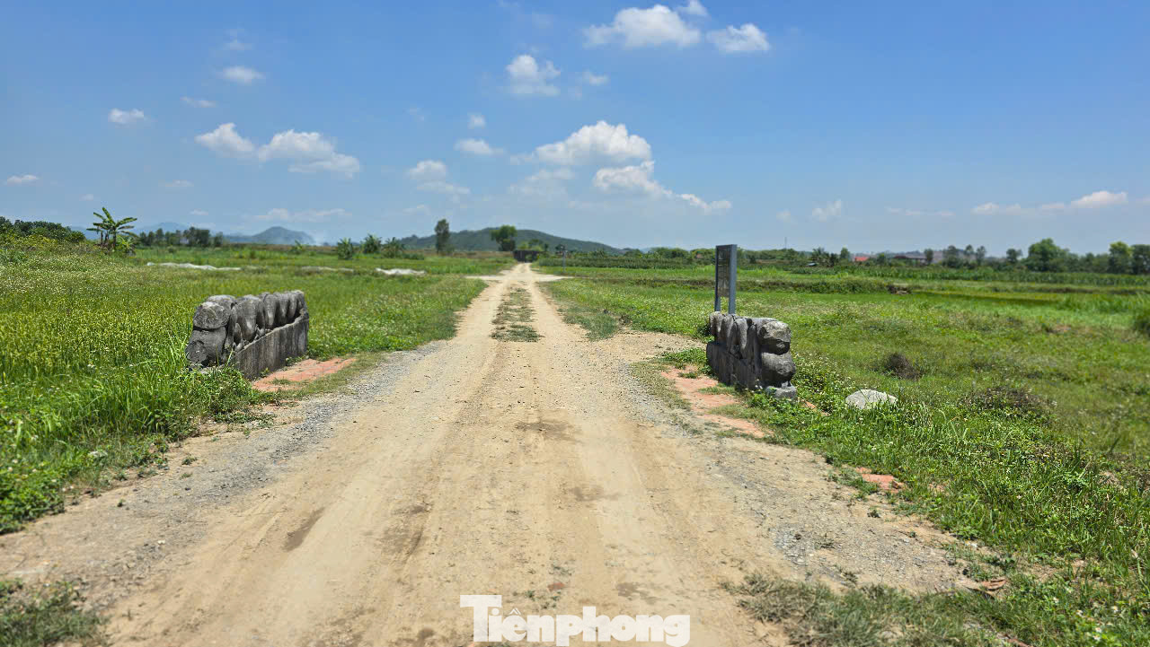 Đôi rồng đá trong thành nội.