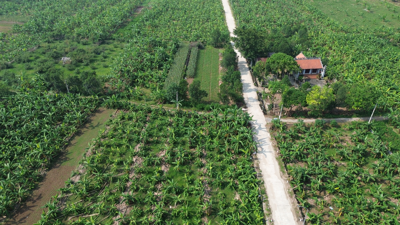 Hà Nội rà soát, hỗ trợ để xóa nhà tạm, nhà dột nát cho gia đình khó khăn về nhà ở Hà Nội rà soát, hỗ trợ để xóa nhà tạm, nhà dột nát cho gia đình khó khăn về nhà ở