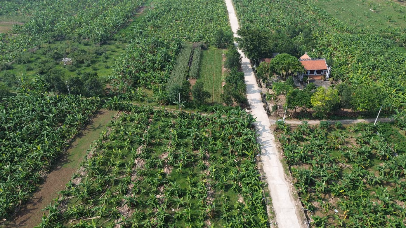 Hà Nội rà soát, hỗ trợ để xóa nhà tạm, nhà dột nát cho gia đình khó khăn về nhà ở