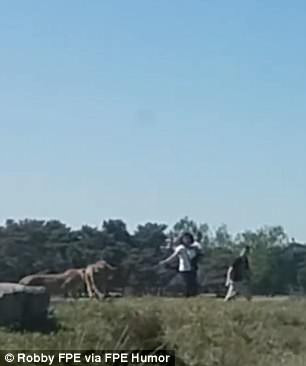 Ra khỏi xe chụp ảnh, cả gia đình bị báo đốm đuổi suýt chết ảnh 2