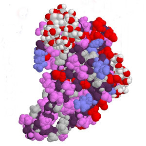 Trường hợp nào không được dùng men tiêu hóa? 1