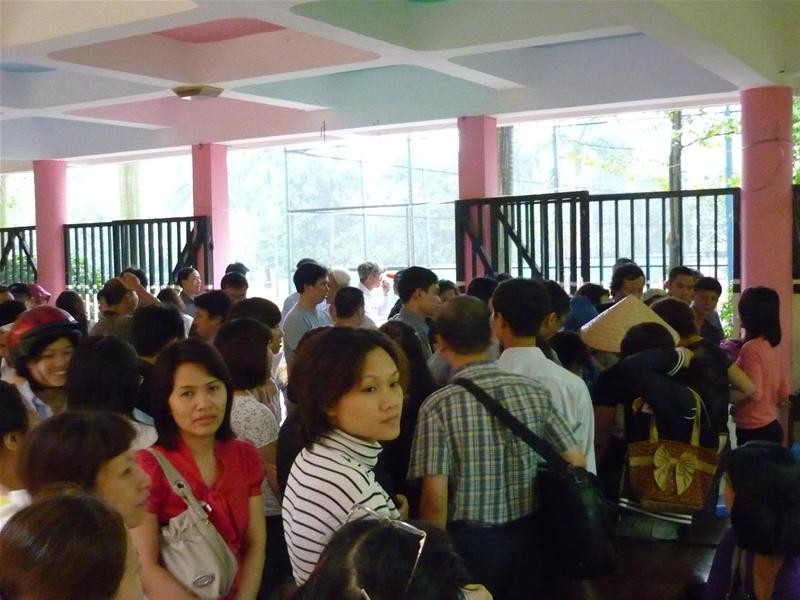 Đứng chờ đợi đến lượt mua hồ sơ