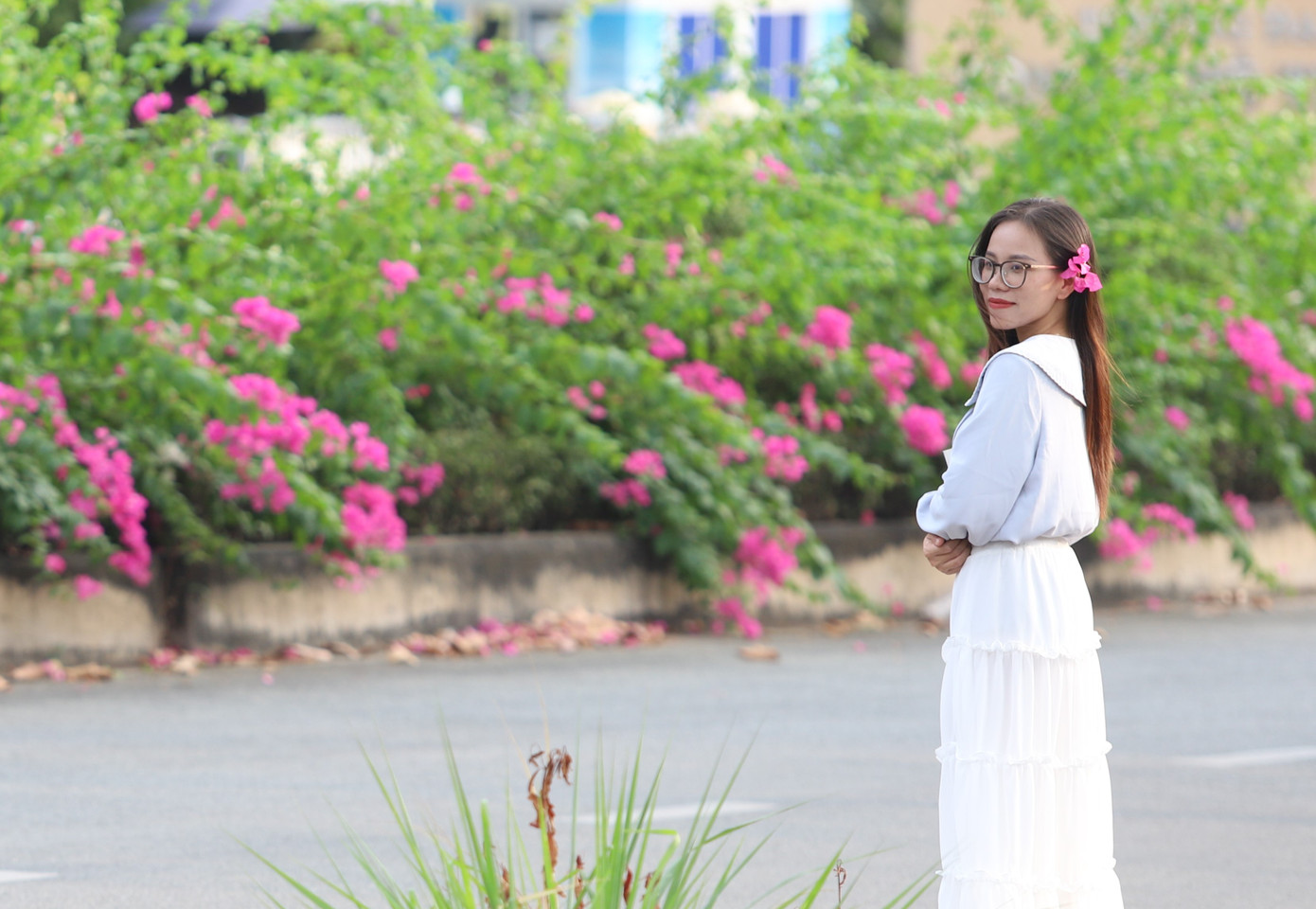 Khung cảnh lãng mạn, nên thơ nhờ những triền hoa nối tiếp nhau trên đường.