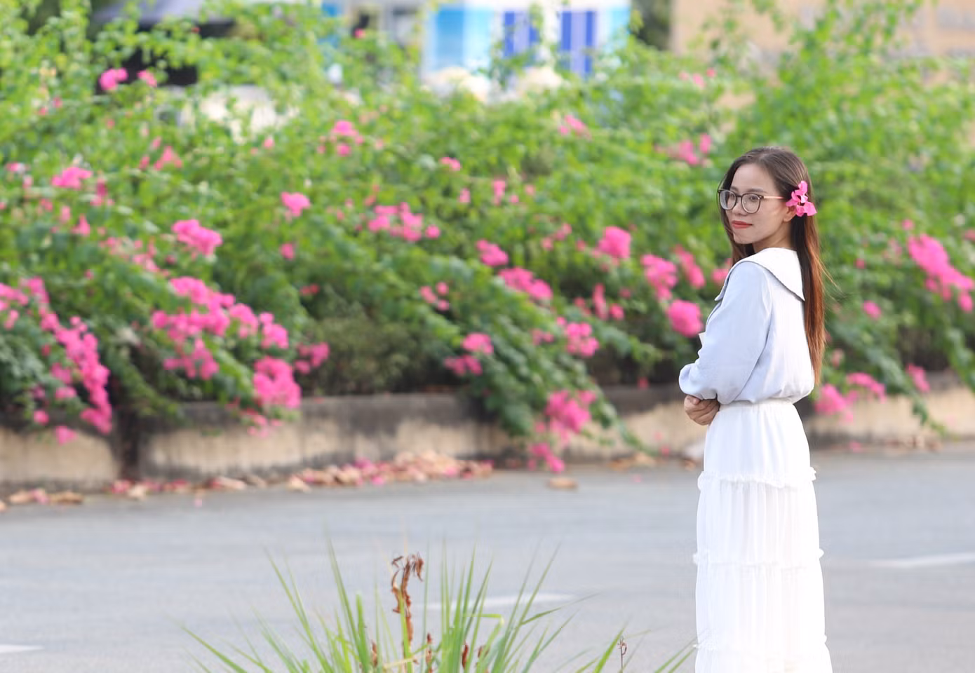 Khung cảnh lãng mạn, nên thơ nhờ những triền hoa nối tiếp nhau trên đường.