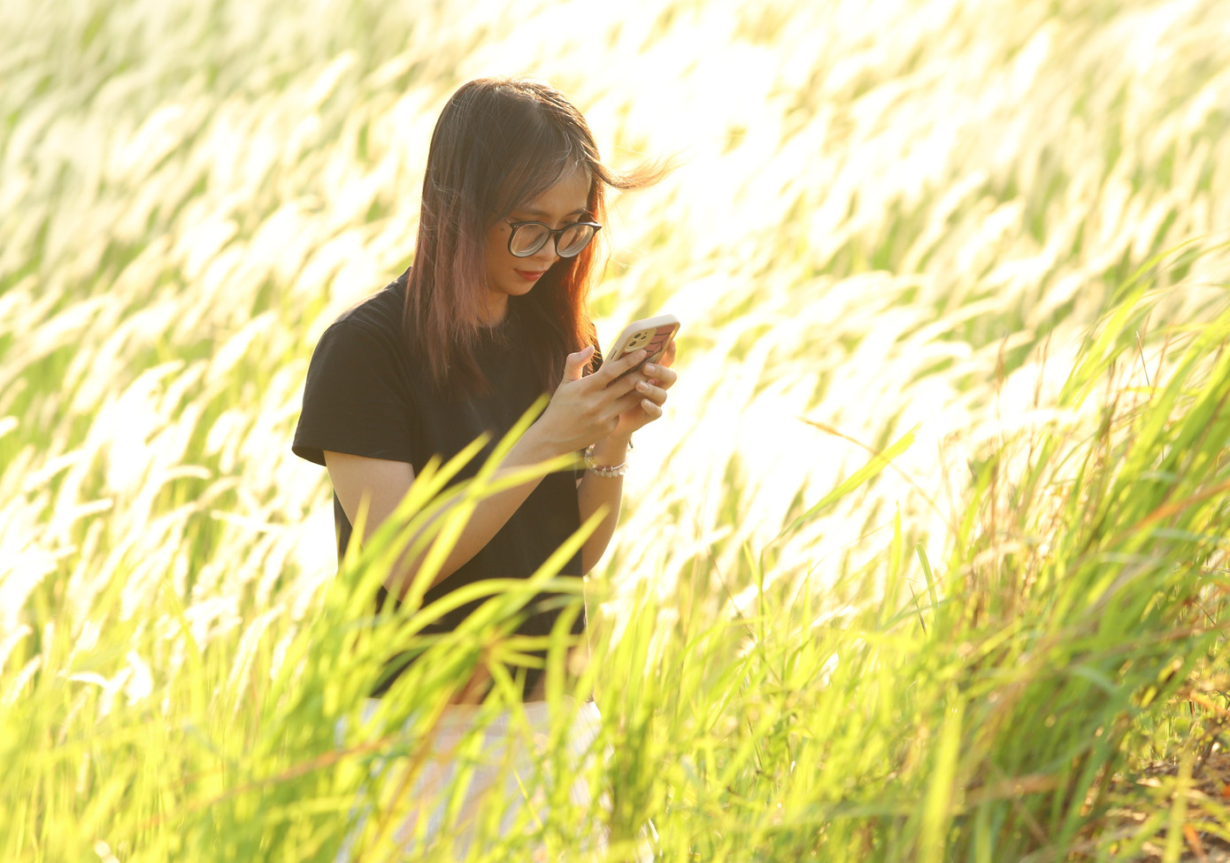 Góc bình yên lúc hoàng hôn ở ngoại ô Sài thành.