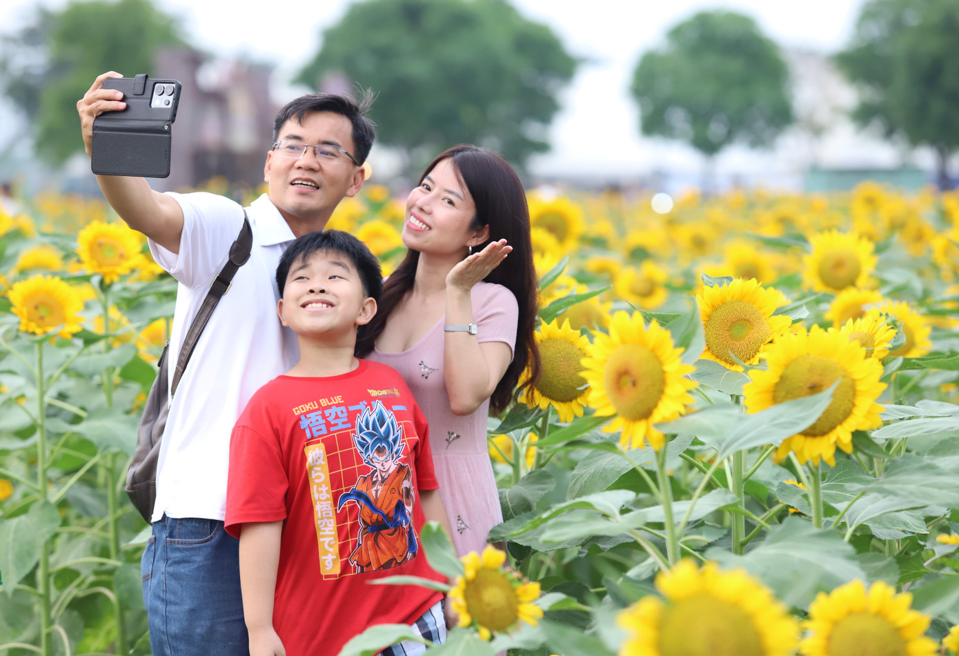 Gia đình nhỏ lưu lại khoảnh khắc rạng rỡ trong vườn hoa hướng dương.