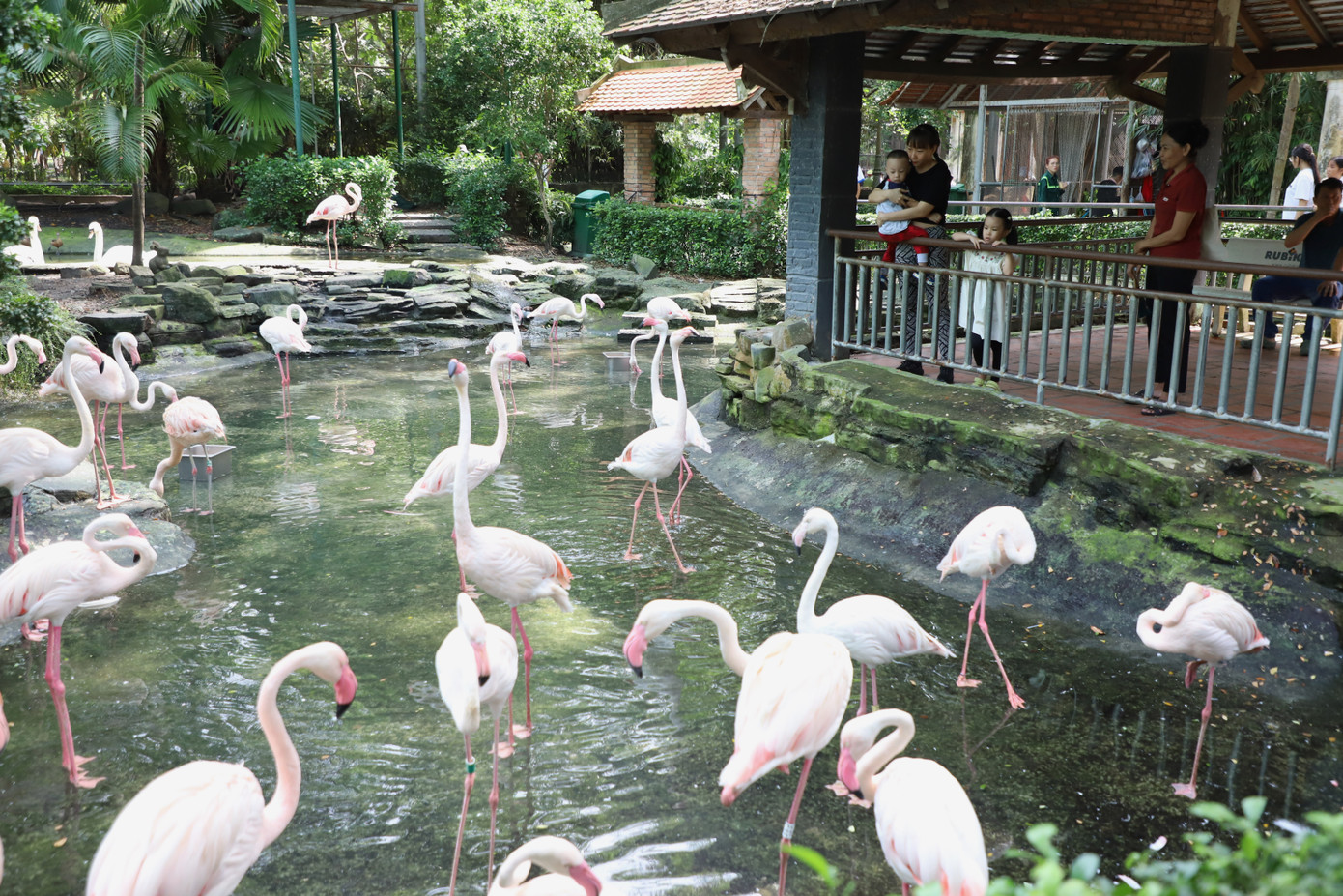 Thảo Cầm Viên Sài Gòn là một trong những công viên bảo tồn động, thực vật lớn nhất thế giới. Ảnh: Ngô Tùng.