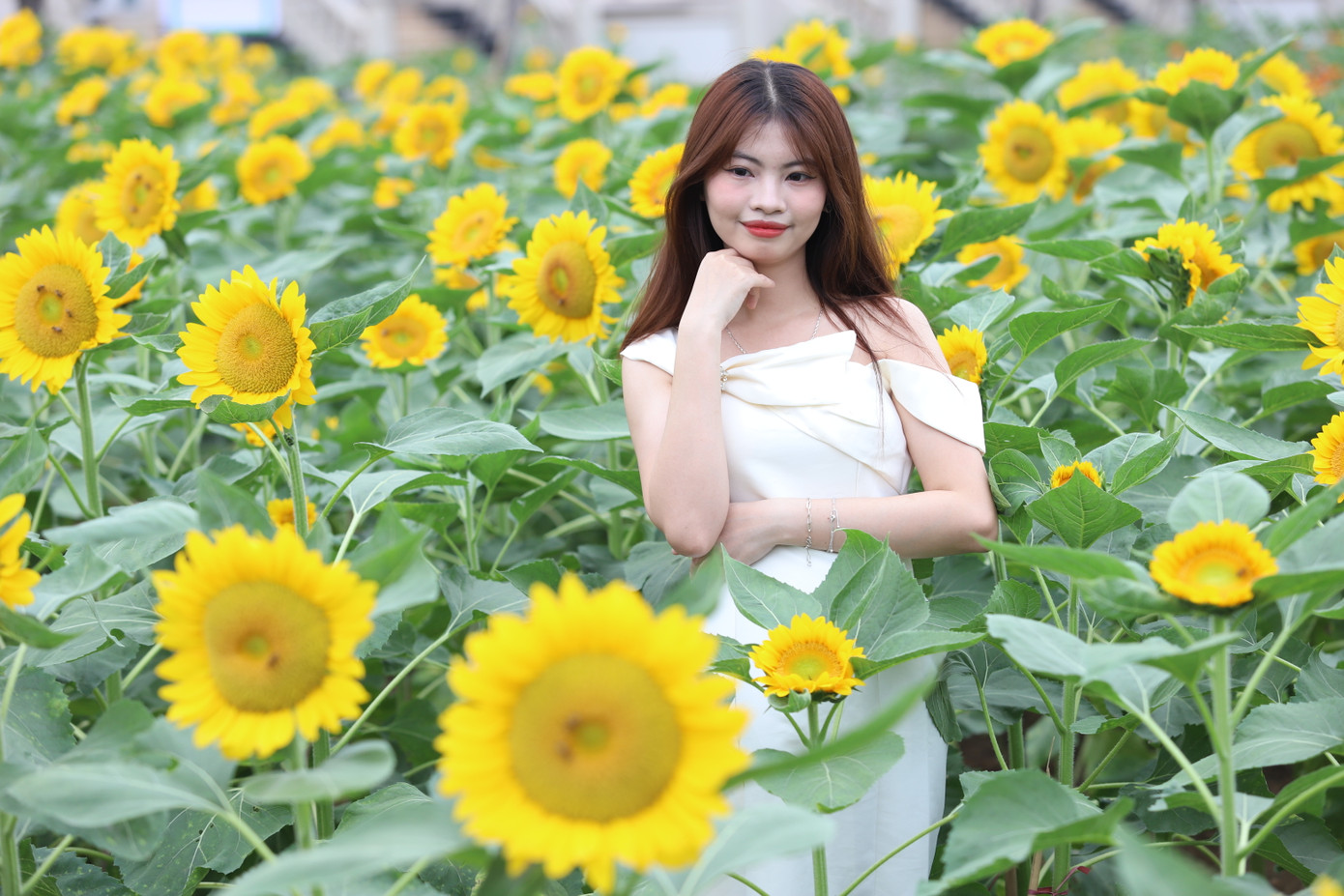 Thiếu nữ tạo nét duyên dáng giữa khung cảnh sắc hoa đang độ tươi đẹp, rực rỡ.