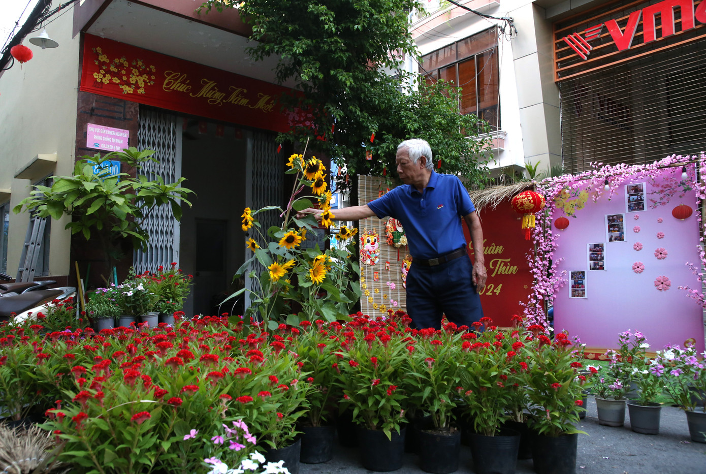 Ông Phí Quang Trung, Trưởng Ban điều hành khu phố 5 cho biết, năm nay Đảng ủy, UBND phường Đa Kao chọn tuyến hẻm này để thực hiện điểm trang trí tết, với sự chung sức, chung lòng của đông đảo người dân trong khu phố.