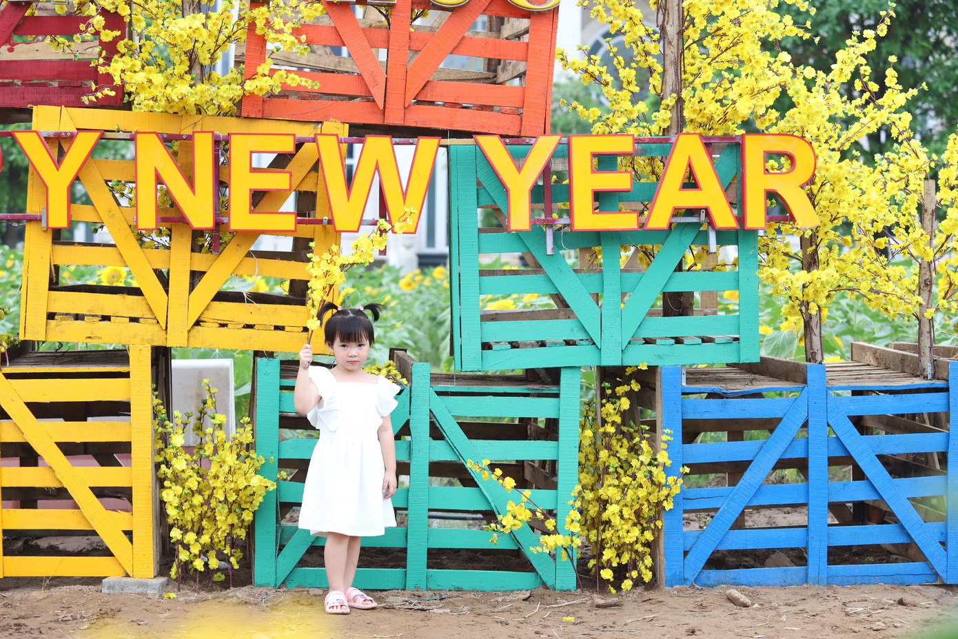 Tiểu cảnh chào năm mới 2025 với những đóa hoa mai vàng cũng tạo thêm điểm nhấn cho khu vườn đặc sắc này.