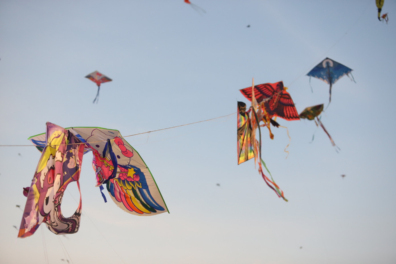 Do có quá nhiều cánh diều cùng tung bay trong một không gian gần nhau nên không thể tránh khỏi cảnh các chú diều bị dính vào nhau trên không trung.