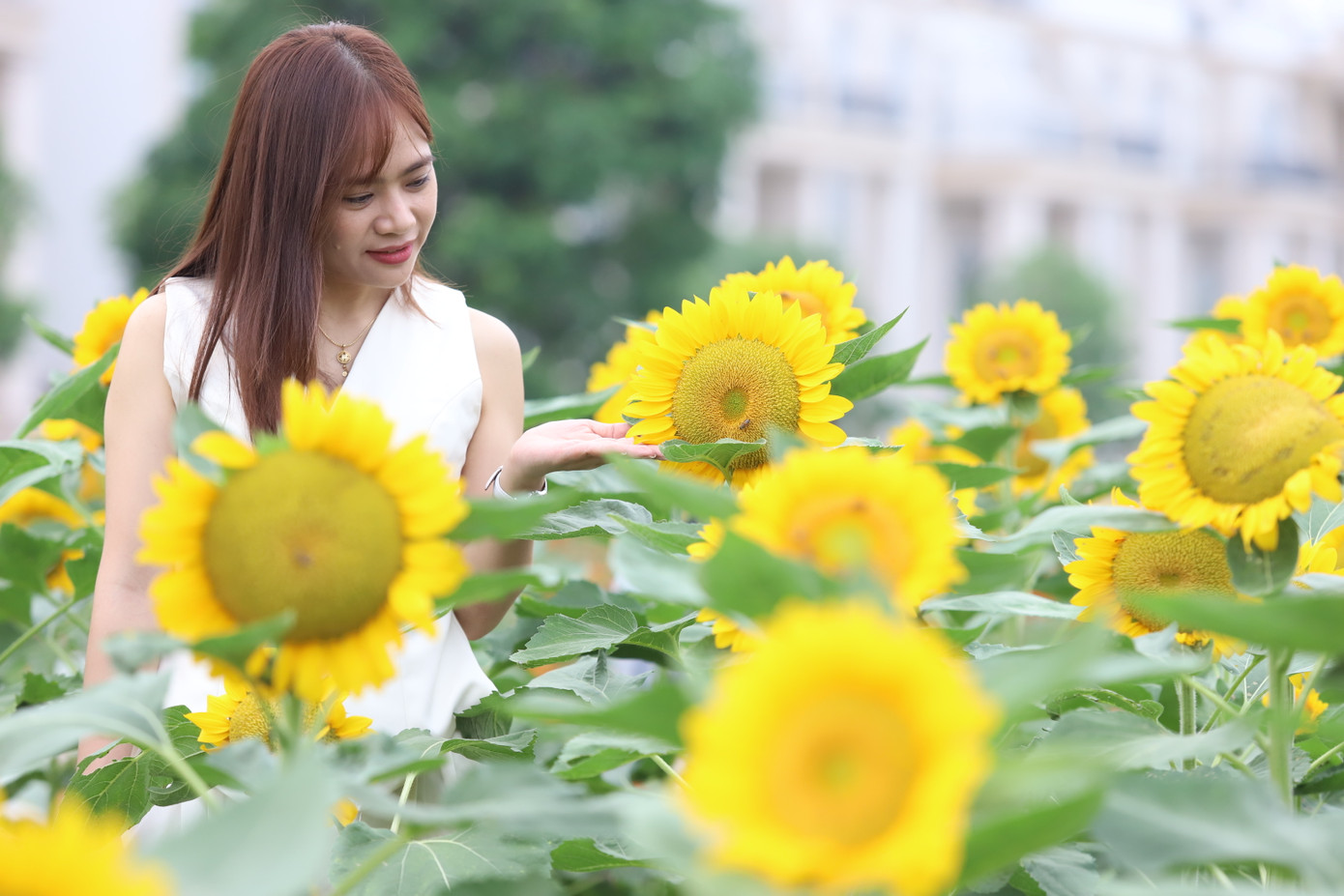 Thiếu nữ tạo nét duyên dáng giữa khung cảnh sắc hoa đang độ tươi đẹp, rực rỡ.