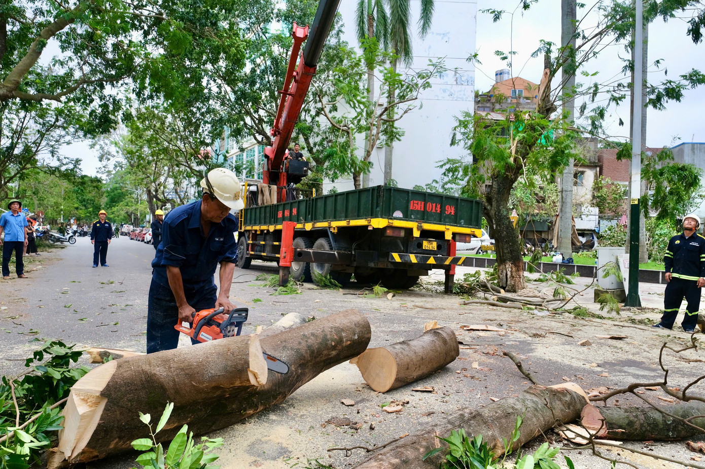 Nhân viên Công ty Công viên cây xanh TPHCM hỗ trợ cắt tỉa cây ngã đổ tại TP. Hải Phòng. Nhân viên Công ty Công viên cây xanh TPHCM hỗ trợ cắt tỉa cây ngã đổ tại TP. Hải Phòng.