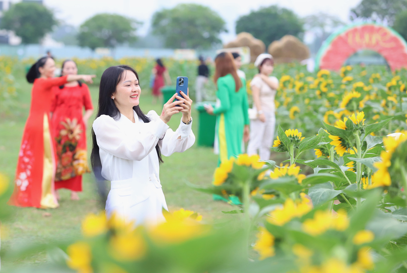 Người dân hào hứng hòa mình trong vườn hướng dương đẹp mắt.