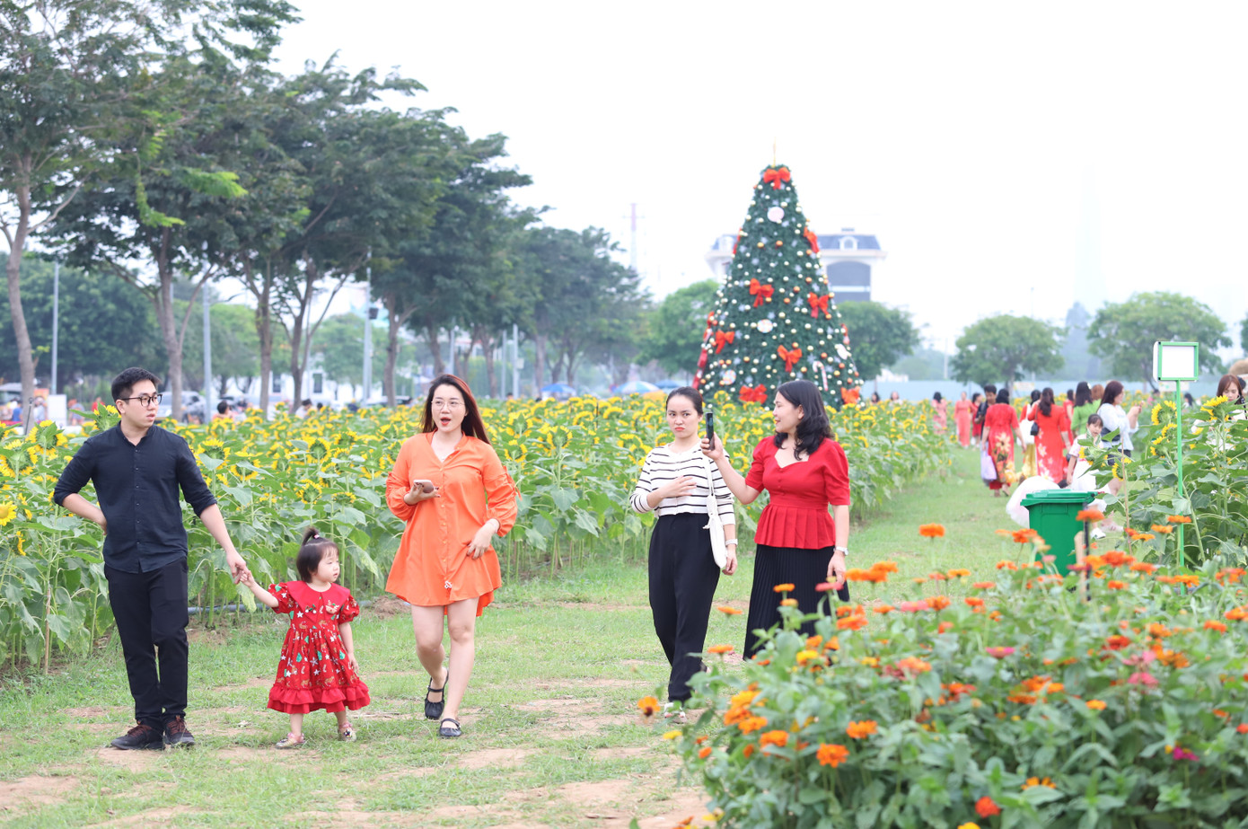 Vừa mở cửa đón khách, vườn hoa hướng dương nằm trong khu đô thị Vạn Phúc (phường Hiệp Bình Phước, TP. Thủ Đức, TPHCM) trở thành điểm đến hấp dẫn với nhiều người.