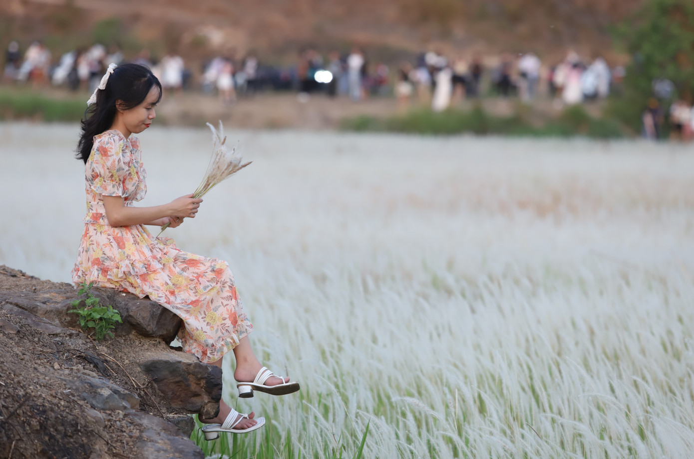 Càng về chiều càng có đông bạn trẻ tìm về cánh đồng cỏ lau vui chơi, thư giãn