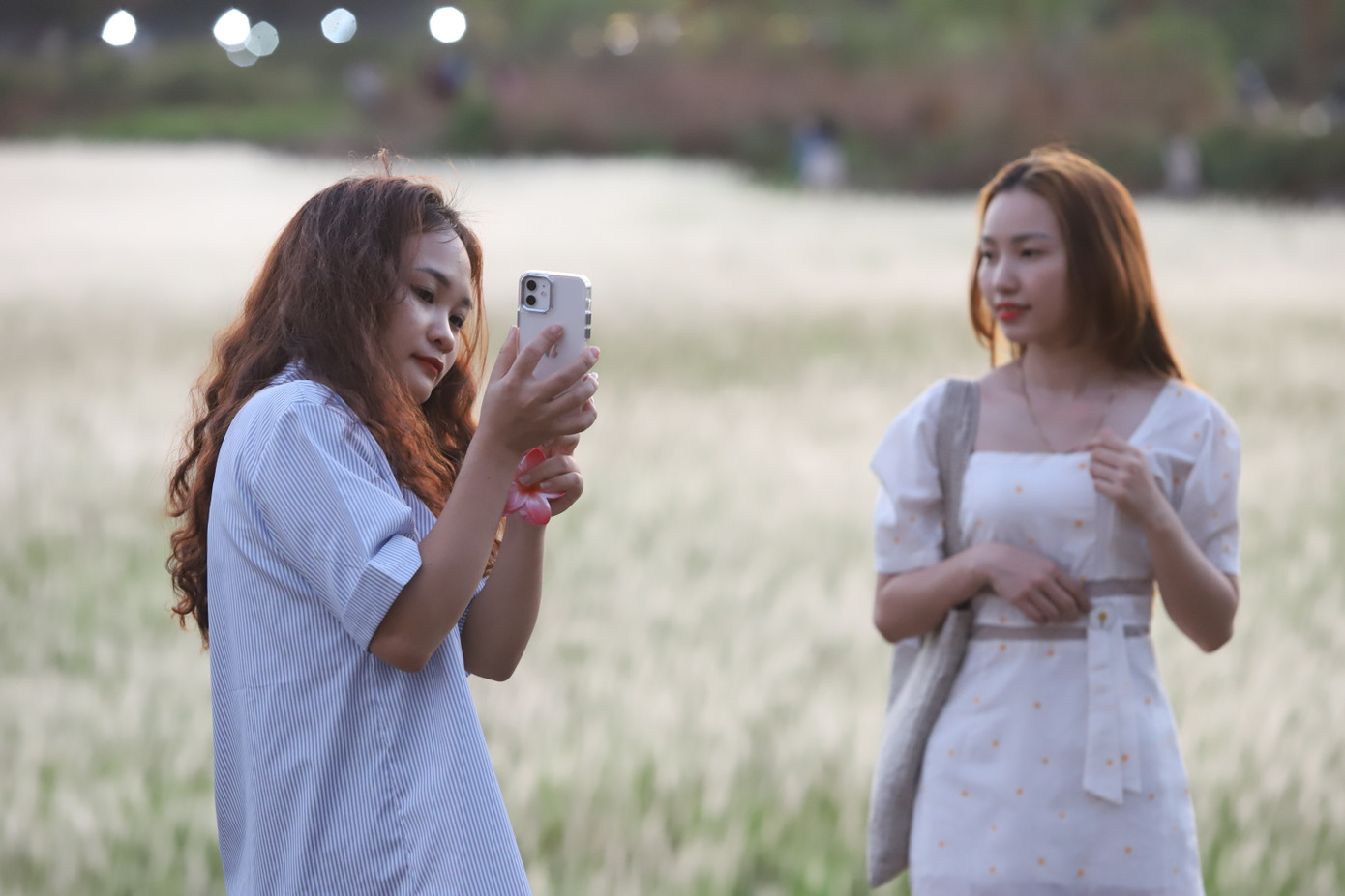 Các bạn trẻ thích thú lưu lại những khoảnh khắc đẹp cùng những "dải lụa" bông lau.