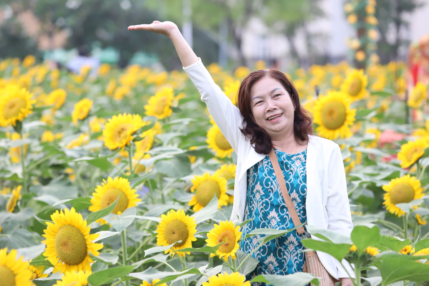 Ngay sau khi khu vườn hoa mở cửa, đông đảo bà con, du khách đã tìm đến thưởng ngoạn, chụp ảnh cùng những đóa hoa đang khoe sắc.