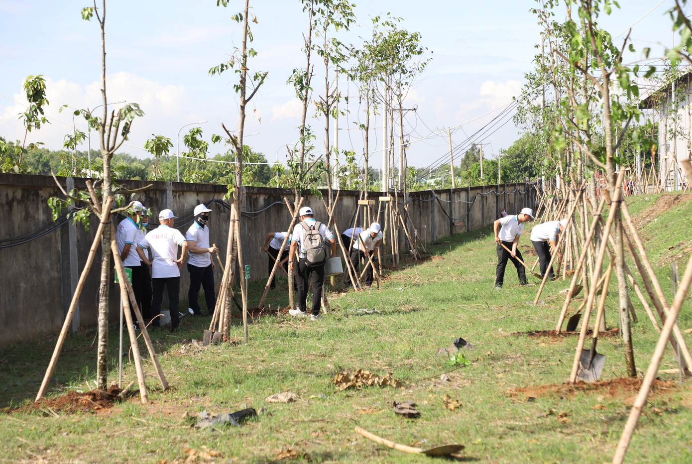 Cán bộ, nhân viên MAUR cùng các đơn vị thực hiện trồng mới các loại cây xanh tại khuôn viên Depot Long Bình. Cán bộ, nhân viên MAUR cùng các đơn vị thực hiện trồng mới các loại cây xanh tại khuôn viên Depot Long Bình.