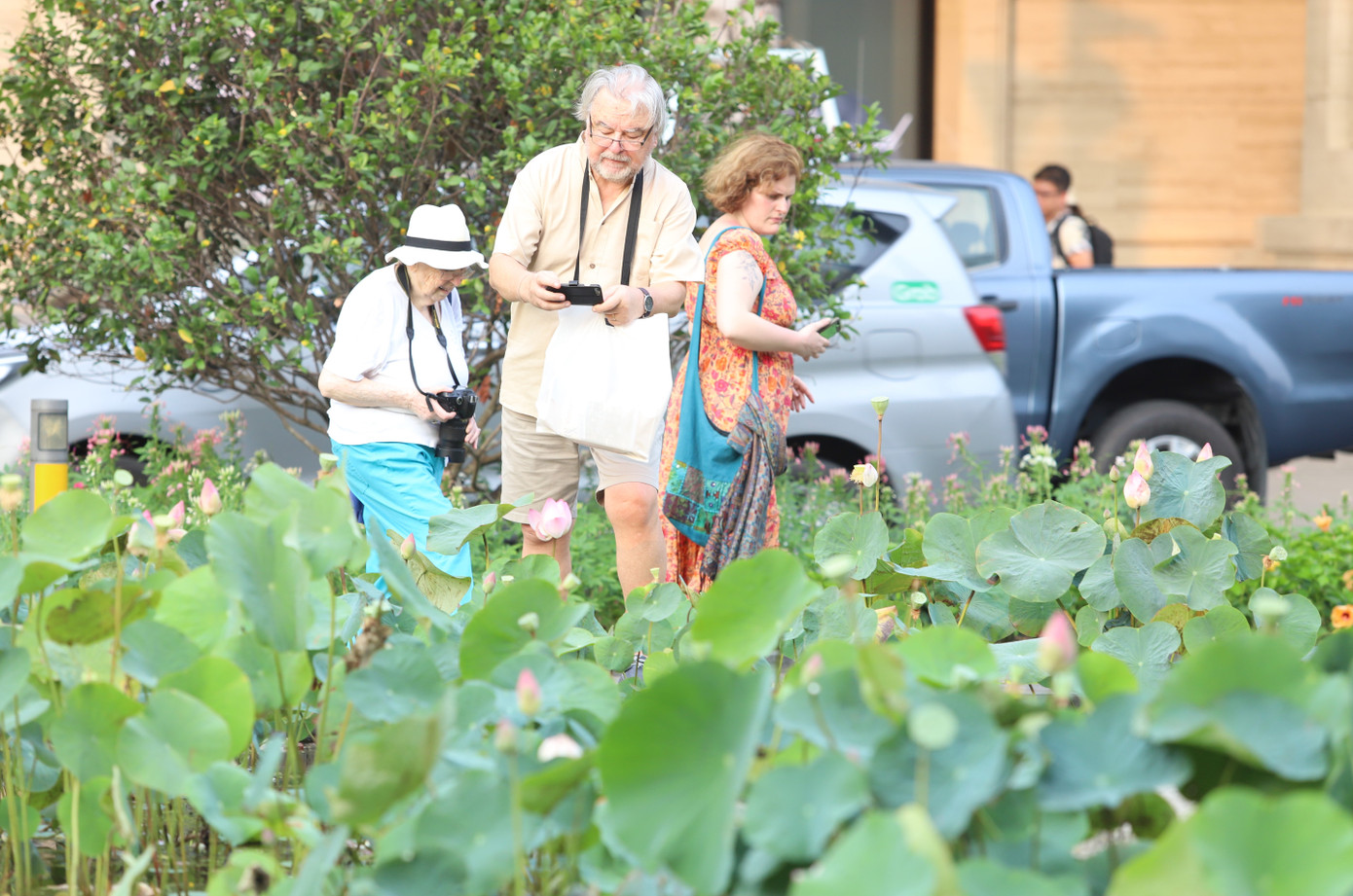 Du khách chụp hình các đóa sen đang bung nở đẹp mắt.