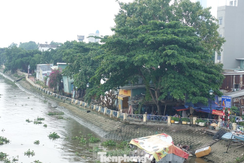 Cuối tháng 6/2023, một đoạn kênh Thanh Đa xảy ra sạt lở. Vị trí sạt lở nằm ở bờ phải, cách hạ lưu cầu Kinh Thanh Đa khoảng 50m. Ảnh: Hữu Huy Cuối tháng 6/2023, một đoạn kênh Thanh Đa xảy ra sạt lở. Vị trí sạt lở nằm ở bờ phải, cách hạ lưu cầu Kinh Thanh Đa khoảng 50m. Ảnh: Hữu Huy