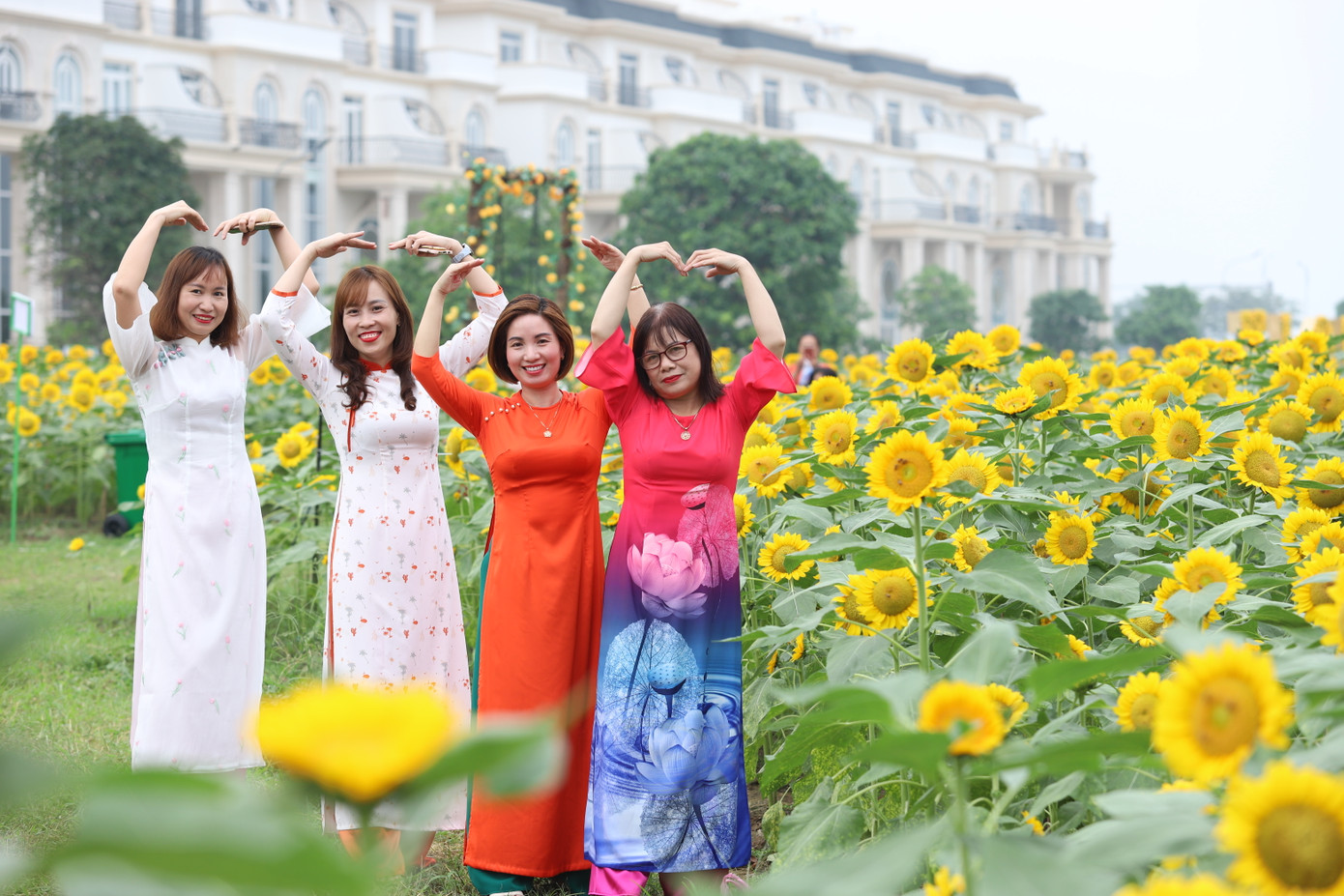 Người dân hào hứng hòa mình trong vườn hướng dương đẹp mắt.