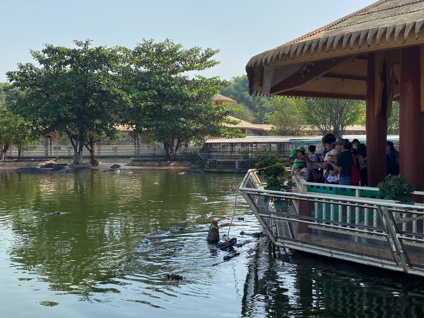 Các em trải nghiệm câu cá sấu trong khu du lịch. Các em trải nghiệm câu cá sấu trong khu du lịch.