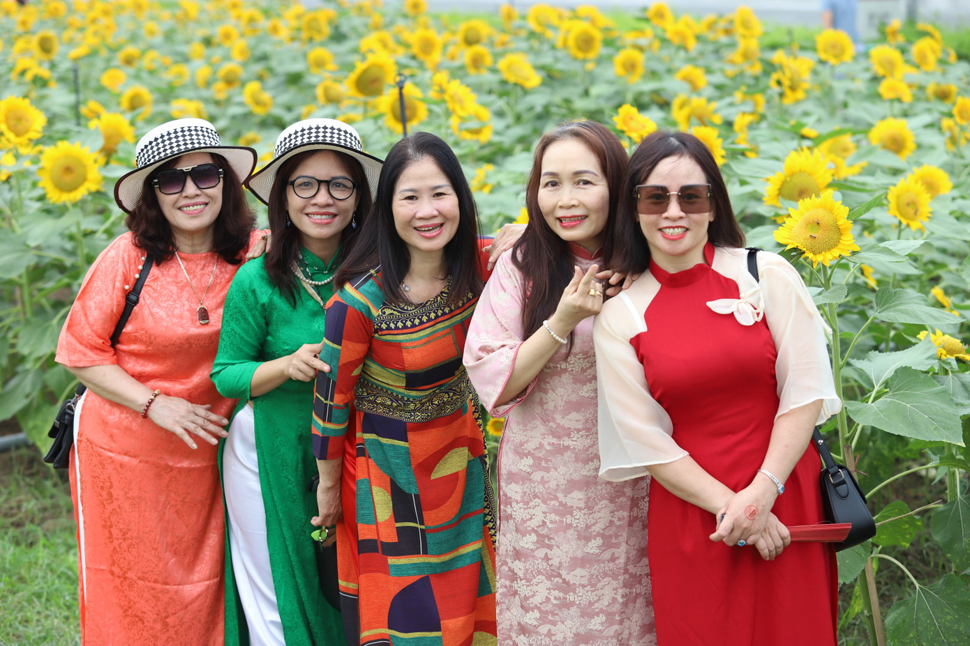 Người dân hào hứng hòa mình trong vườn hướng dương đẹp mắt.