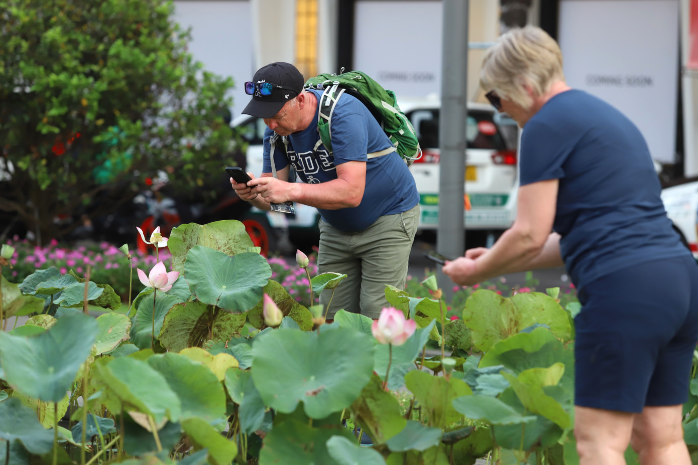 Bên cạnh đó, ao sen phía bên hông khu vực tượng đài Bác vẫn được duy trì như trước đây.