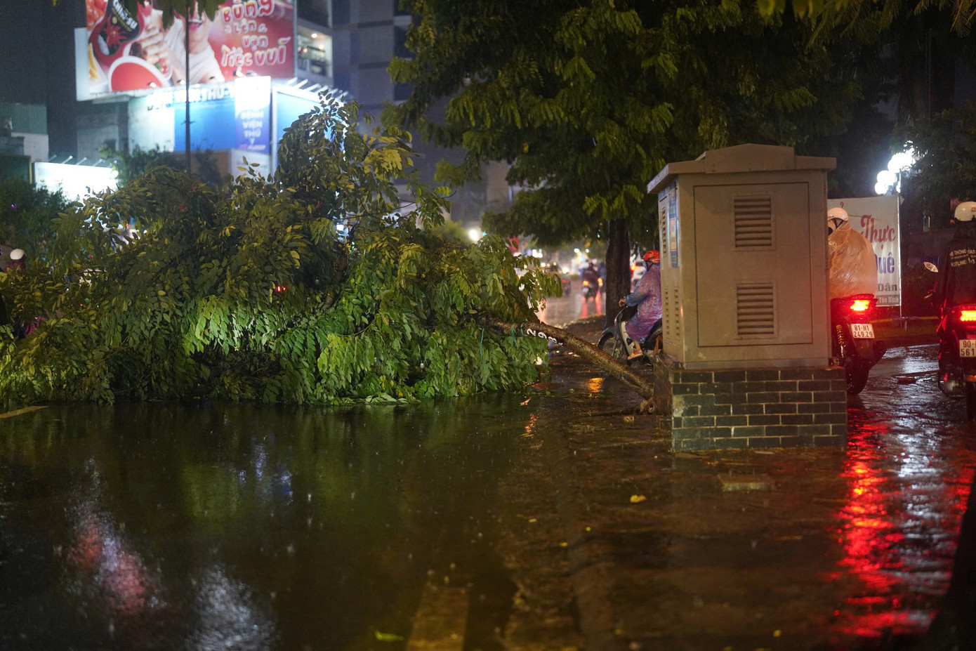 Cây xanh ngã đổ tại ngã tư Cộng Hòa - Tân Kỳ Tân Quý trong cơn mưa lớn tối nay. Ảnh: Phạm Nguyễn