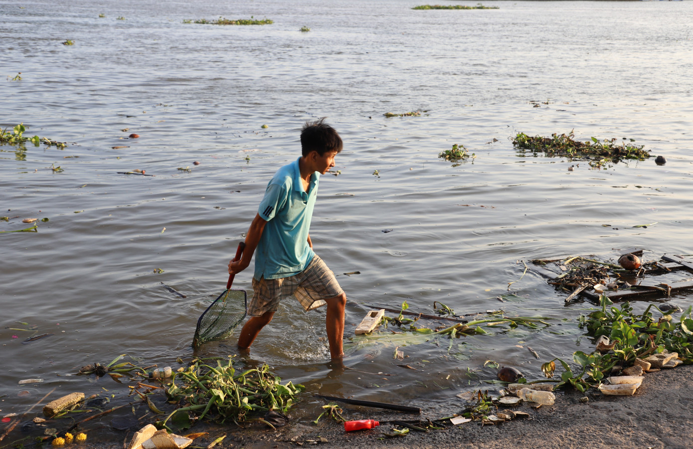 Theo quan sát của PV báo Tiền Phong, thanh niên áo xanh này liên tục cầm vợt "canh me" khi người dân thả cá là sẵn sàng vợt lấy. Chốc chốc, người này cầm vợt "quét" một lượt sát bờ kè sông để kiếm cá. Theo quan sát của PV báo Tiền Phong, thanh niên áo xanh này liên tục cầm vợt "canh me" khi người dân thả cá là sẵn sàng vợt lấy. Chốc chốc, người này cầm vợt "quét" một lượt sát bờ kè sông để kiếm cá.