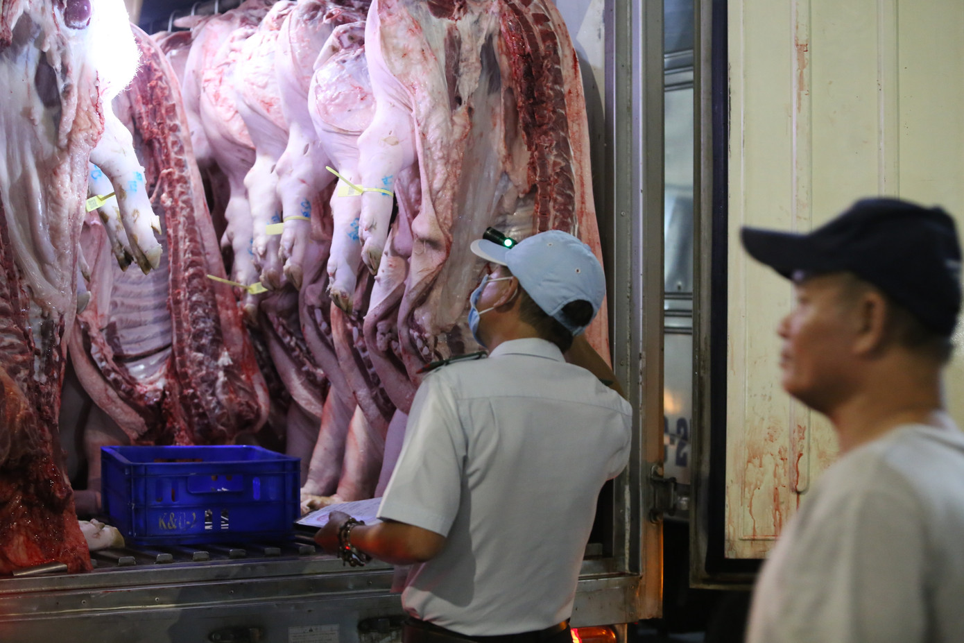 Ngành chức năng thành phố kiểm tra thịt heo (lợn) nhập chợ đầu mối trước khi cung ứng đến người tiêu dùng. Ảnh: Ngô Tùng