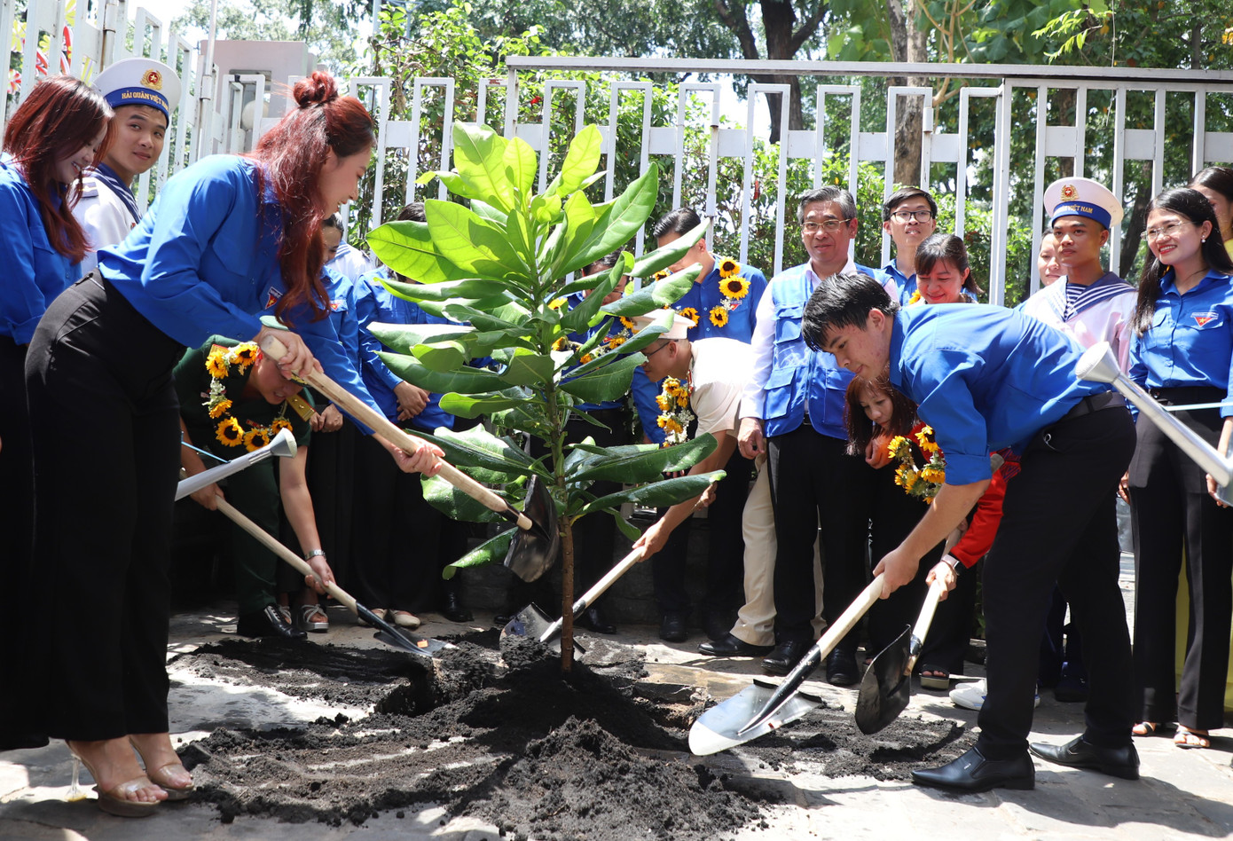 Bạn trẻ cùng tham gia trồng cây bàng vuông. Bạn trẻ cùng tham gia trồng cây bàng vuông.