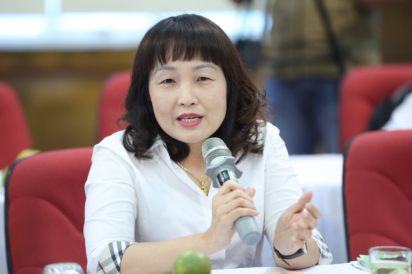 Bà Lưu Thị Thanh Chi, Phó Chi cục trưởng Chi cục Bảo vệ Môi trường Hà Nội, Sở Tài nguyên và Môi trường