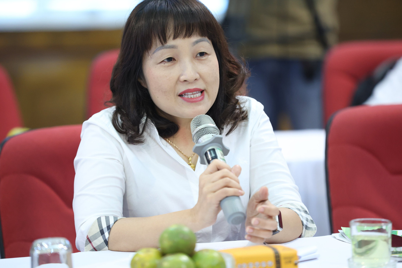 Bà Lưu Thị Thanh Chi, Phó Chi cục trưởng Chi cục Bảo vệ Môi trường Hà Nội