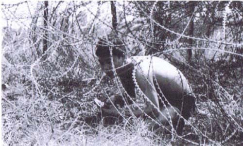 Cắt hàng rào dây thép gai. Cắt hàng rào dây thép gai