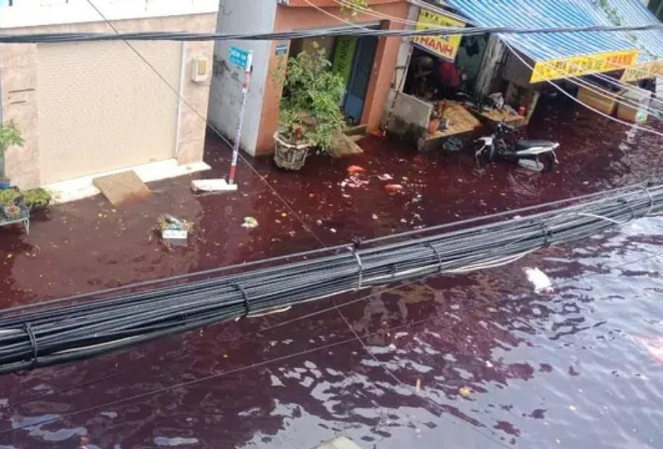 Nước có màu đỏ như máu Nước có màu đỏ như máu