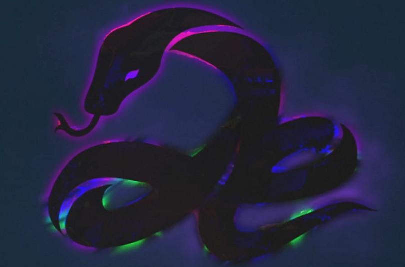 Black Mamba vẫn đang là một bí ẩn chưa được giải đáp. Black Mamba vẫn đang là một bí ẩn chưa được giải đáp.