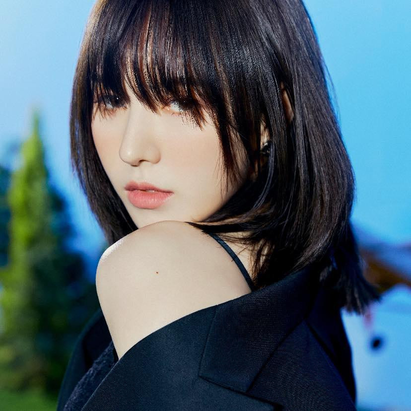 Phần đông netizen cho rằng Wendy xứng đáng nhận được nhiều sự tôn trọng hơn từ SF9.