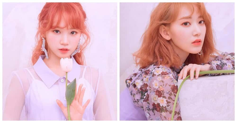 Chaewon và Sakura trở thành tâm điểm của truyền thông sau tin đồn gia nhập HYBE.