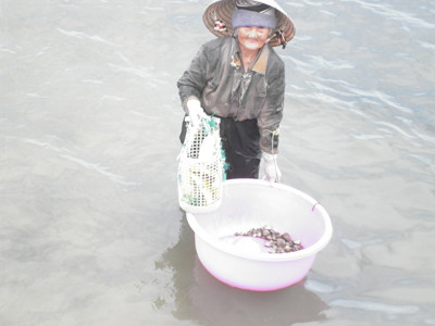 Cụ Đước đang mò nghêu. Ảnh: Tiến Phú. Cụ Đước đang mò nghêu. Ảnh: Tiến Phú