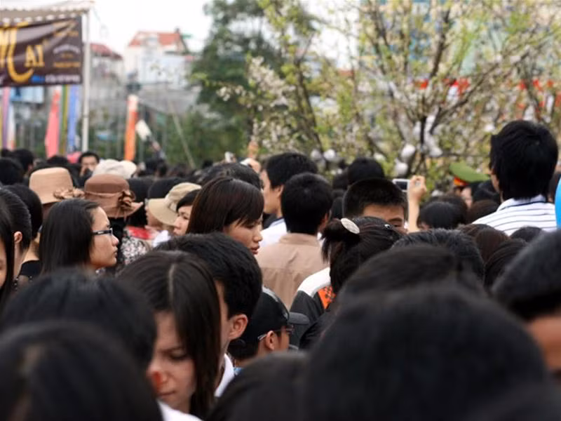 Hàng ngàn người chen lấn để tới được gần nhất những gốc anh đào đã tạo nên một không khí nghẹt thở trong sáng ngày hôm nay.