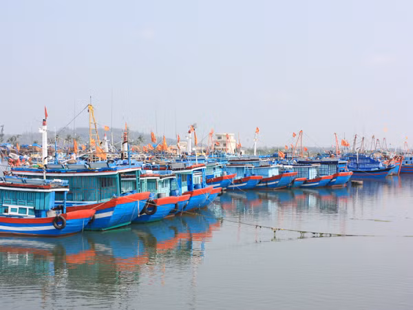 Tổ quốc hiện hữu trên những lá cờ - ảnh chụp tại cửa biển Nghĩa An (Tư Nghĩa – Quảng Ngãi). Ảnh: Nam Cường