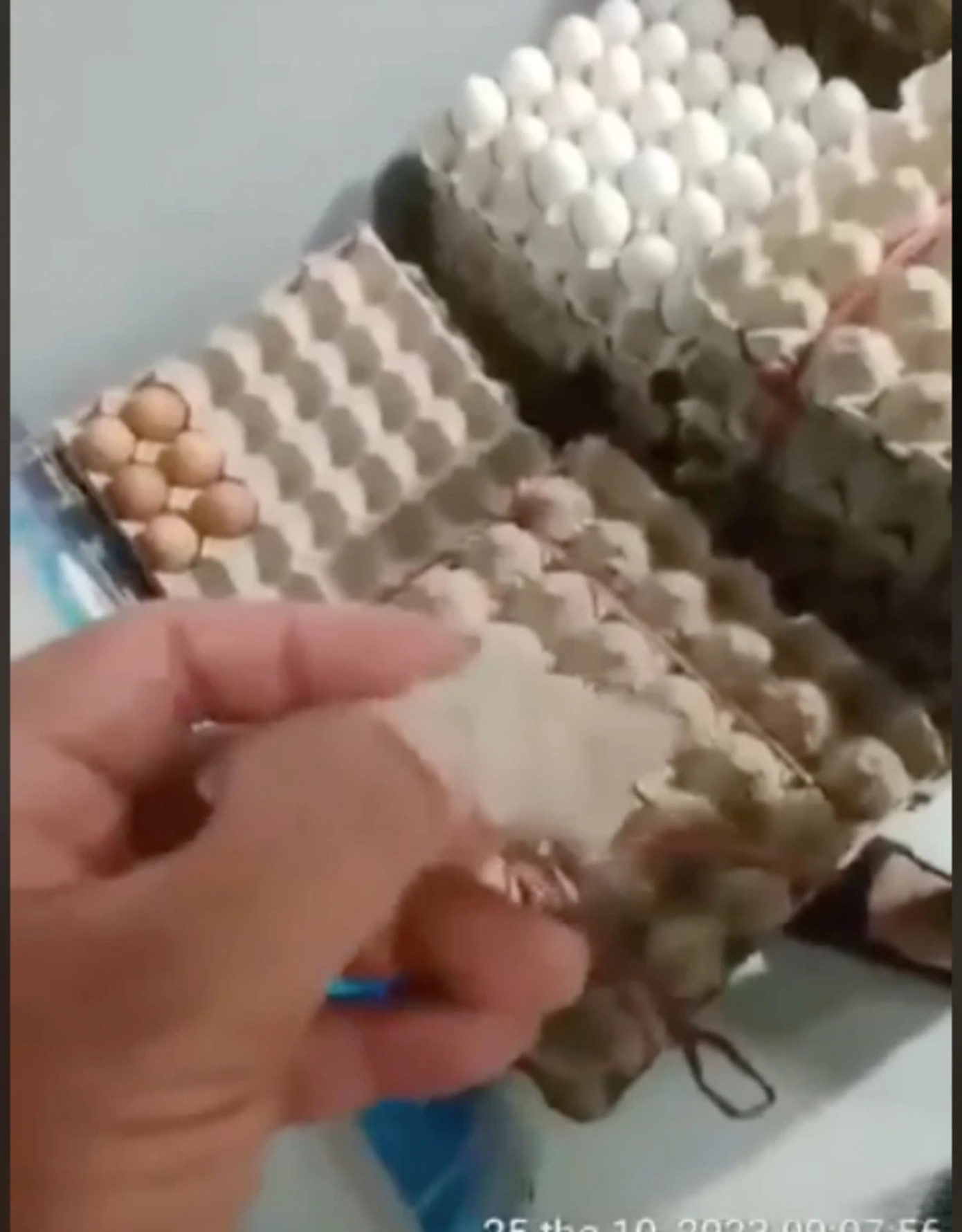 5 trường học tại TPHCM dừng cho học sinh ăn bán trú ảnh 2 5 trường học tại TPHCM dừng cho học sinh ăn bán trú ảnh 2